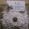 大颗粒膨胀珍珠岩，园艺珍珠岩3-5mm   80升/袋